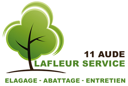 LAFLEUR Service